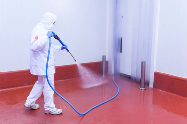 Best Sidewalk and Walkway Cleaning  in Angola, NY