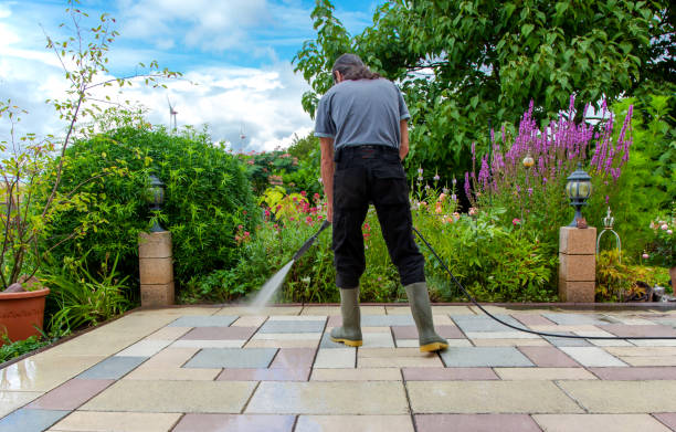 Best Animal Enclosure Cleaning  in Angola, NY
